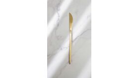 Image of a Modern dinner knife (gold)