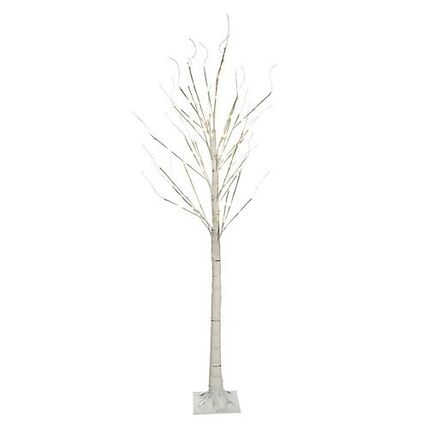 pine 5個 Tree - Pine - 5' H x 16