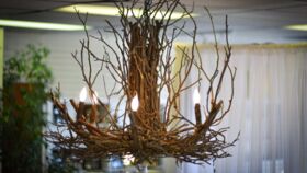 Image of a Chandelier: 4' Tree Branch/ Twig (Large)