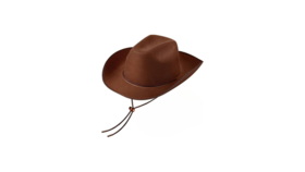 Image of a Prop: Hat