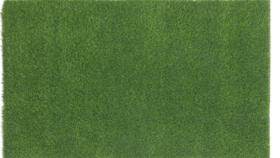 Image of a 10 x 10 Astroturf